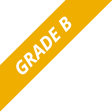 Small banner on top of product image showing that the product is in 'Grade B' condition.