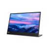 Lenovo L15 15.6" Full HD Portable Monitor 60Hz 6ms USB Type-C Grey
