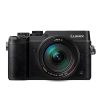 Panasonic LUMIX G DMC-GX8 Camera with 12-60mm Lens