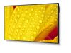 NEC MultiSync M551-2 55" 4K Digital Signage Message Large Format Display