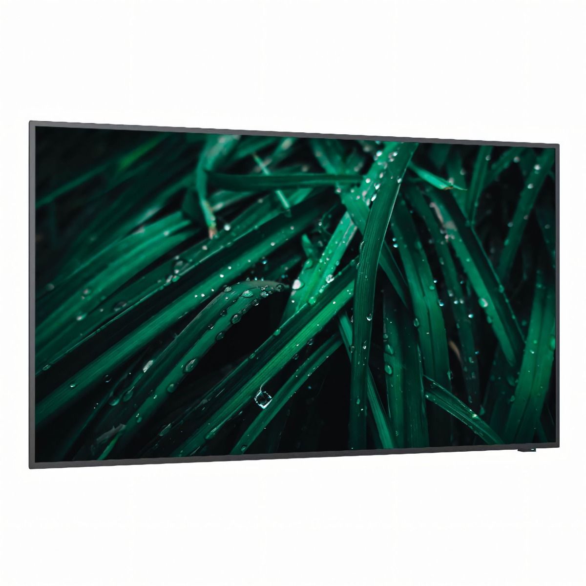 NEC MultiSync E558 Large 54.6" 4K Digital Signage TV Advertising Display
