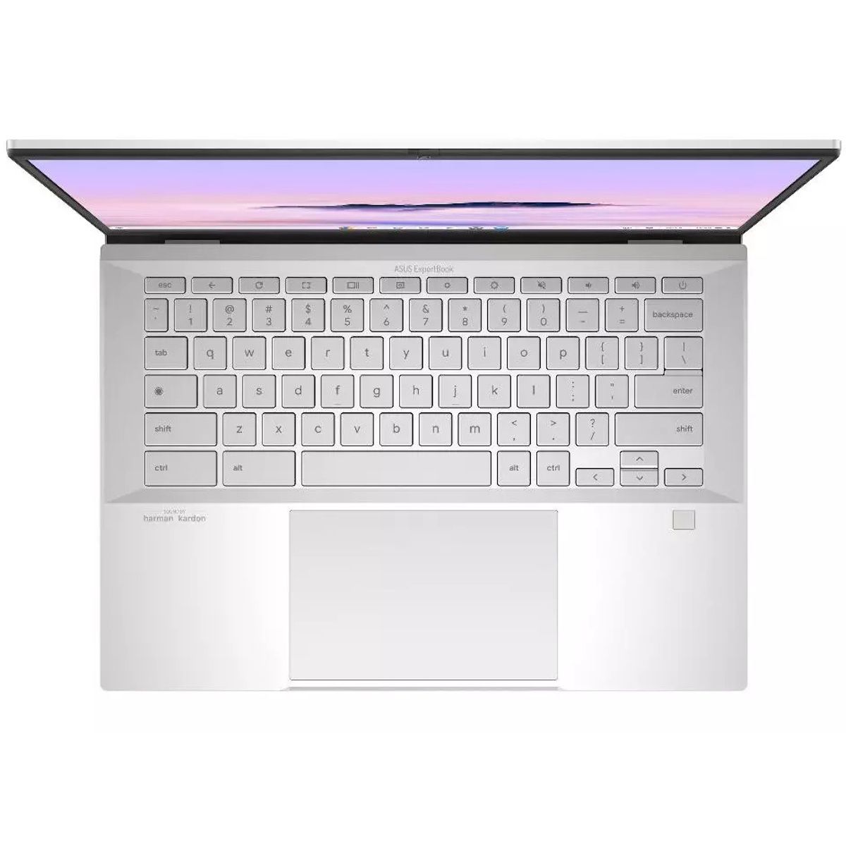 ASUS ExpertBook CX54 14" Touchscreen Laptop Intel Ultra 7 8GB RAM 512GB SSD ChromeOS