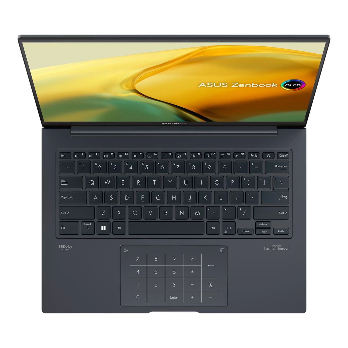 ASUS Zenbook 14X 14.5" OLED Touchscreen Laptop Intel i9 16GB RAM 1TB SSD