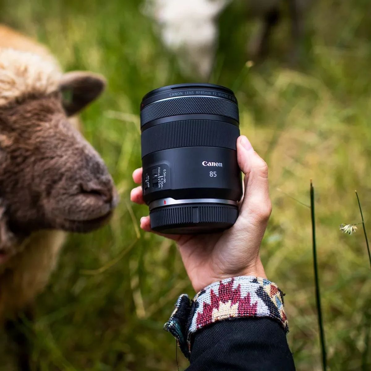 Canon RF 85mm F2 Macro IS STM Lens