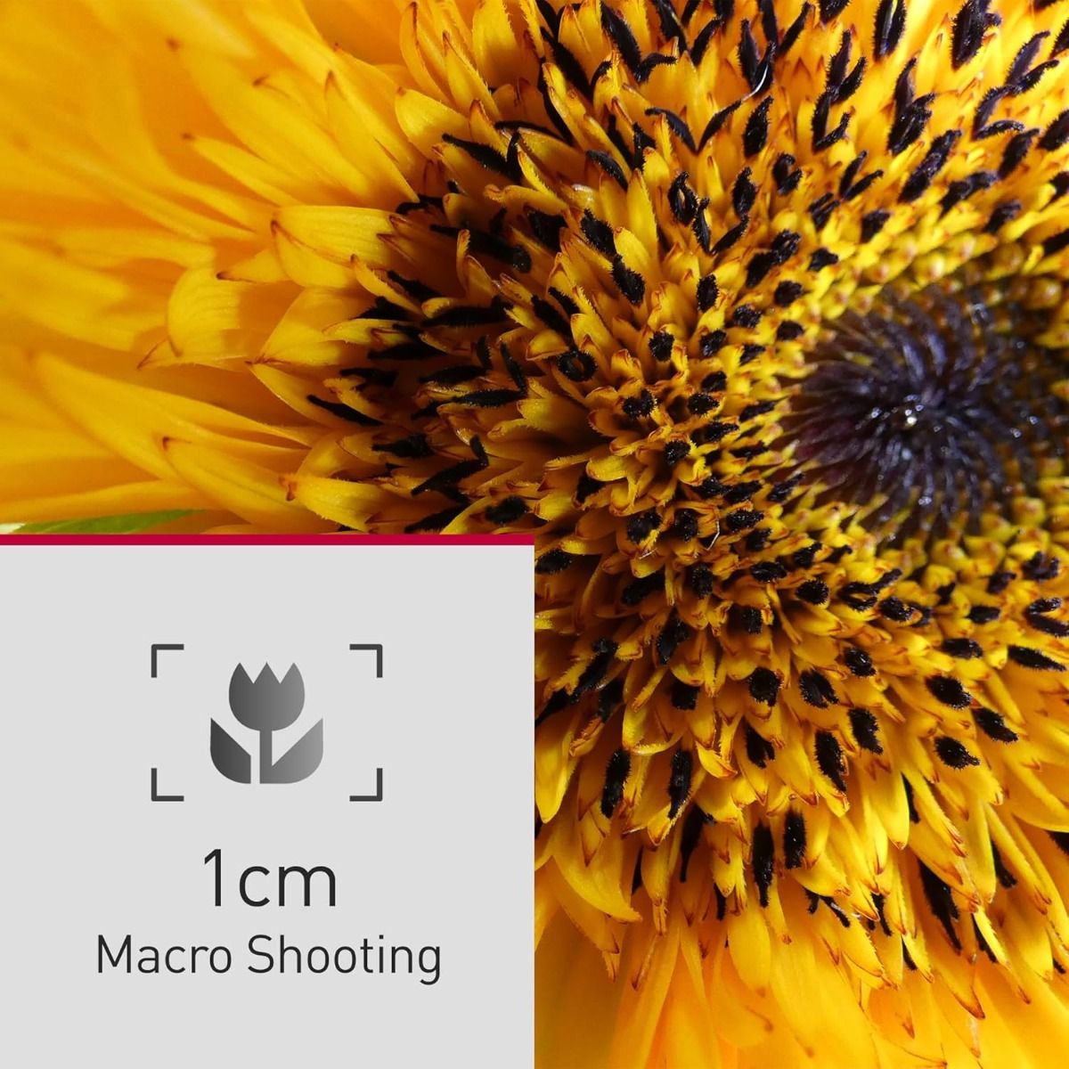 Panasonic Lumix FZ82D Bridge Camera 60x Optical Zoom 18.1MP Sensor