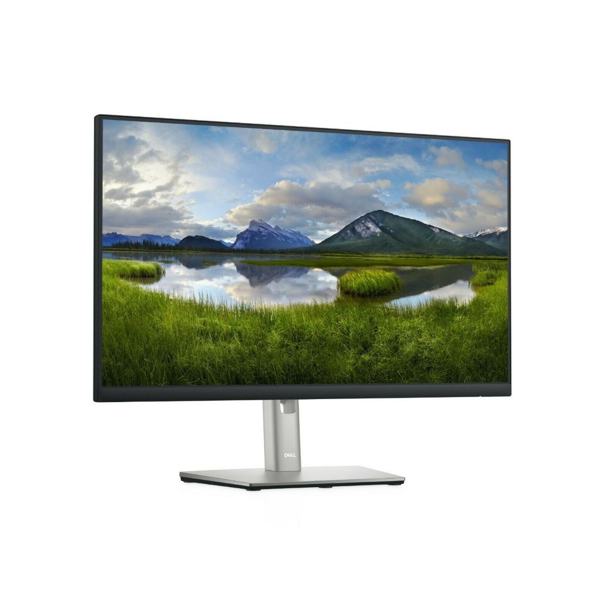 Dell P2422H 23.8" Full HD Computer LCD Monitor with USB VGA HDMI DisplayPort