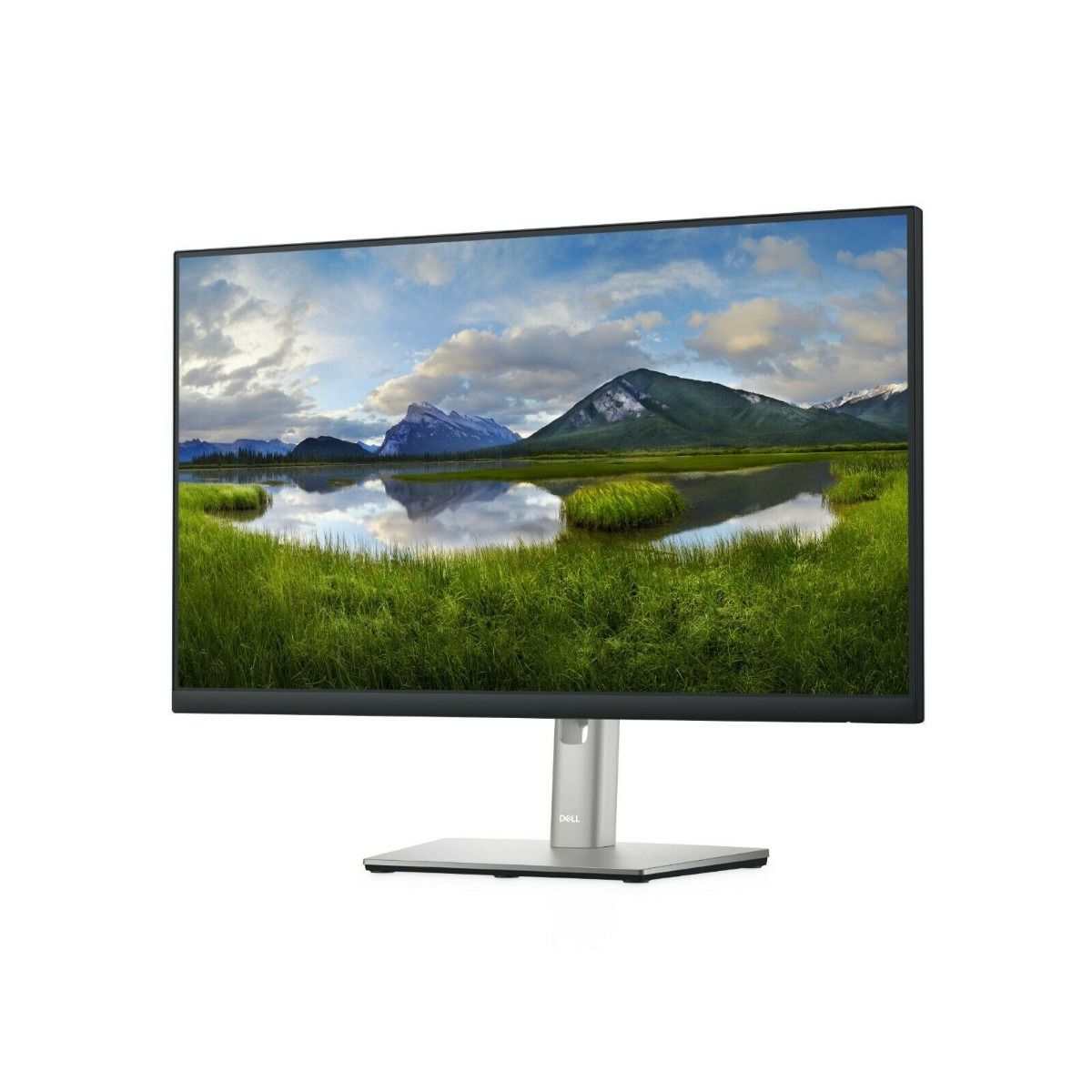 Dell P2422H 23.8" Full HD Computer LCD Monitor with USB VGA HDMI DisplayPort