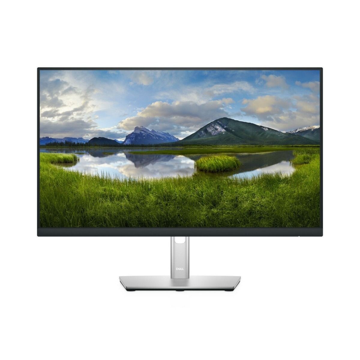 Dell P2422H 23.8" Full HD Computer LCD Monitor with USB VGA HDMI DisplayPort