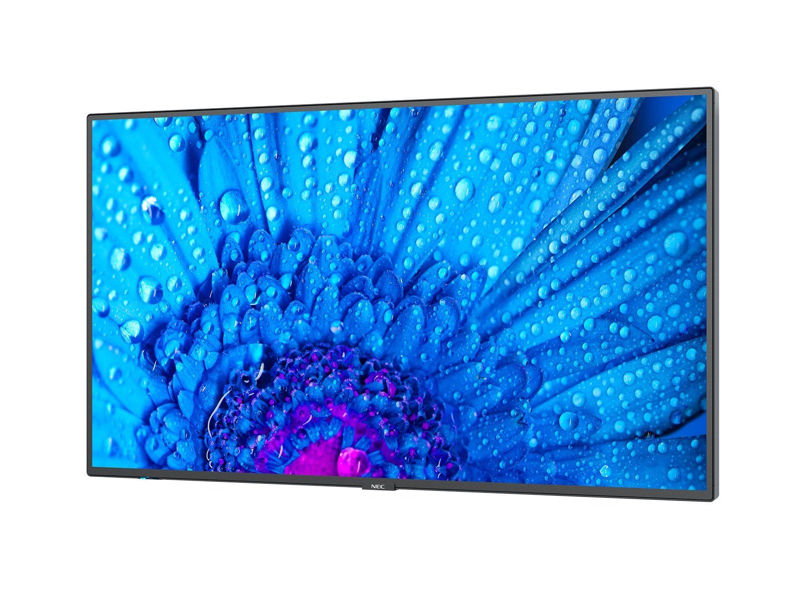 NEC MultiSync M491 49" 4K IPS Large Format Display 500 nits Continuous Operation