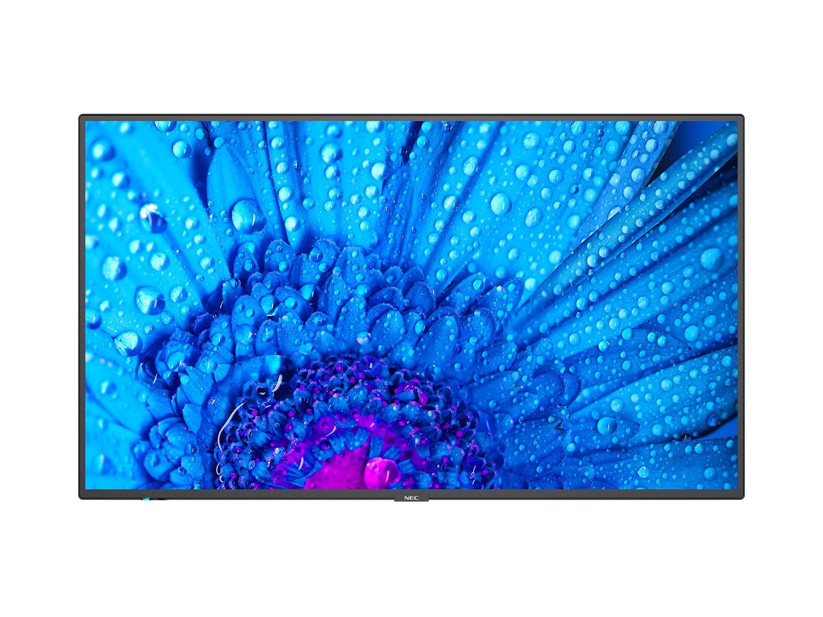 NEC MultiSync M431 43" 4K IPS Large Format Display 500 nits Continuous Operation
