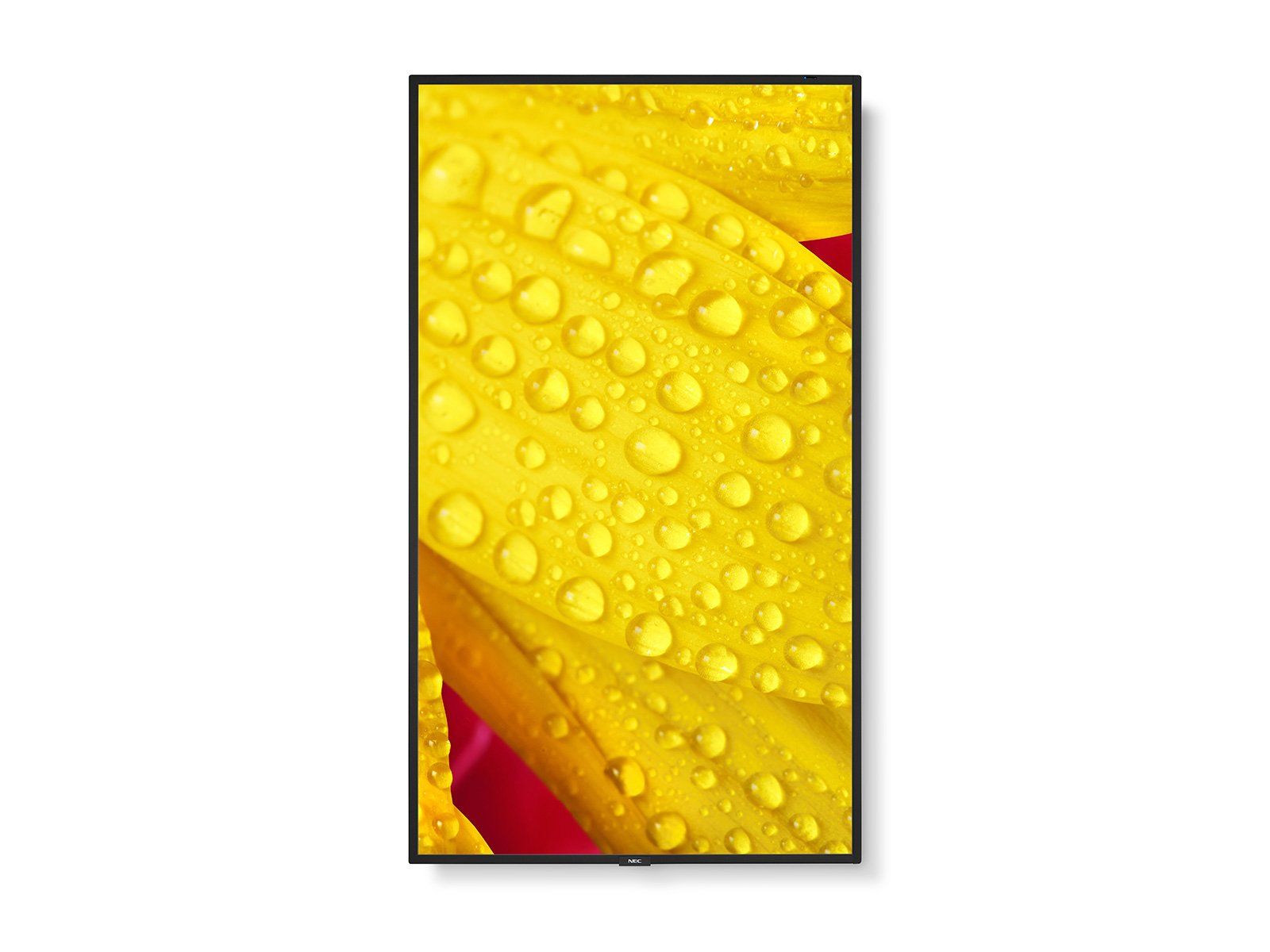 NEC MultiSync M551-2 55" 4K Digital Signage Message Large Format Display