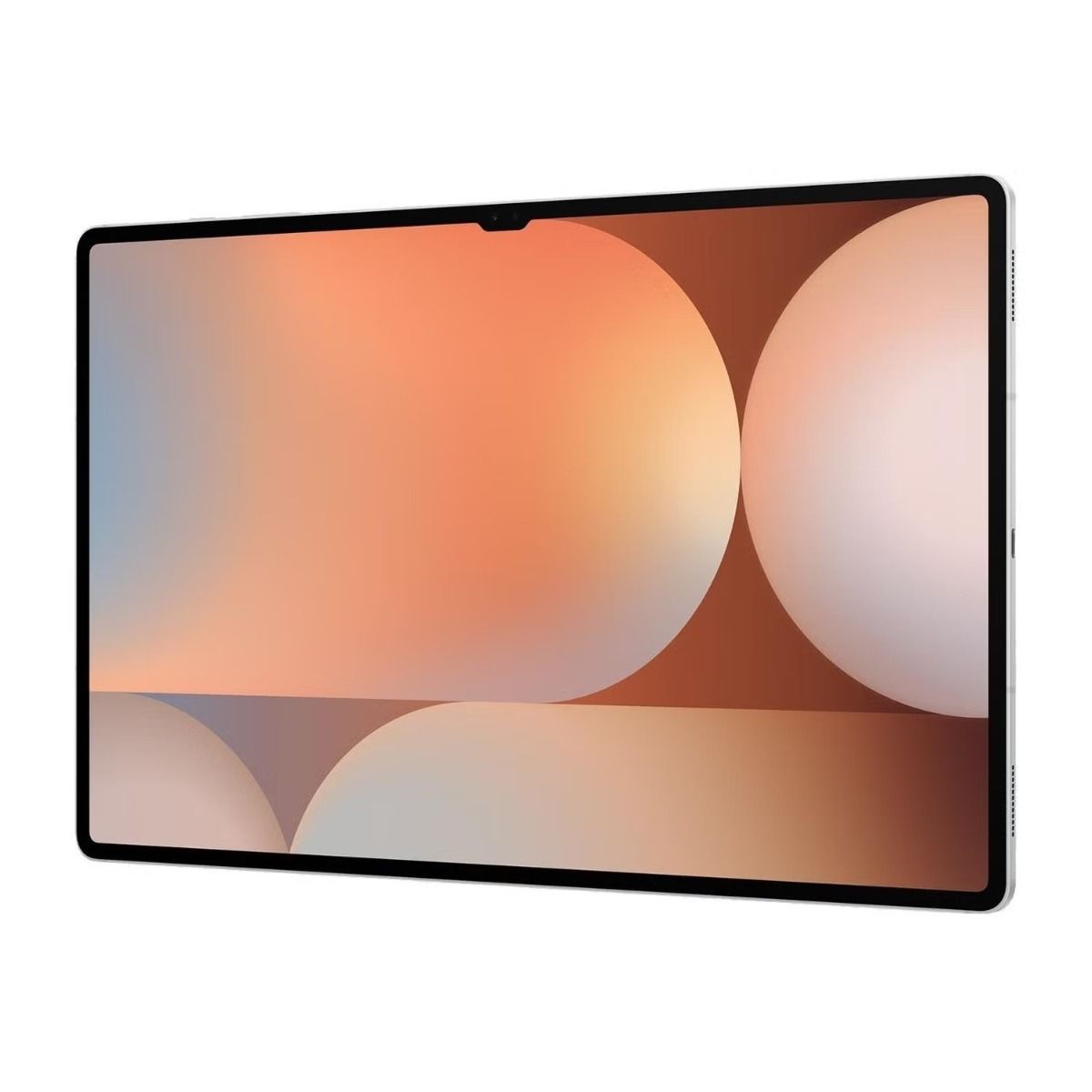 Samsung Galaxy Tab S10 Ultra 14.6" AMOLED 2X Tablet 12GB RAM 256GB Storage Silver