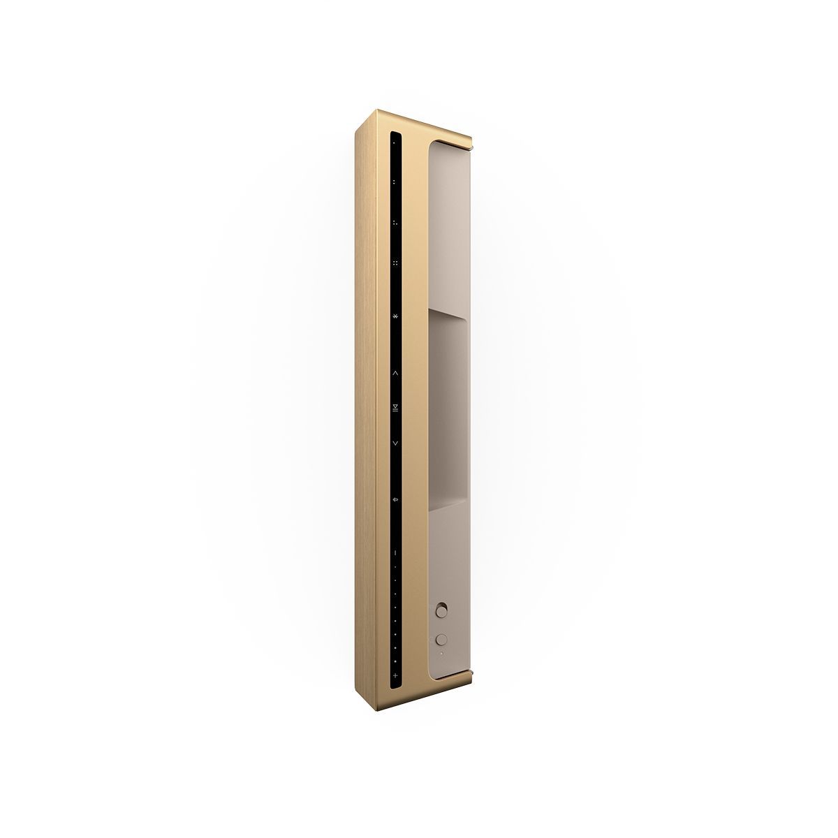 Bang and Olufsen Beosound Level Portable Smart Speaker Gold Tone/Light Oak