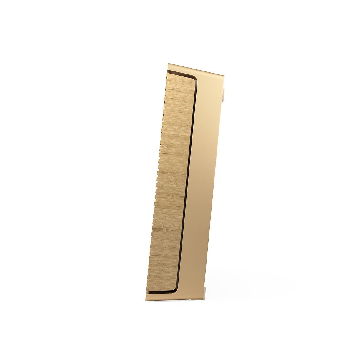 Bang and Olufsen Beosound Level Portable Smart Speaker Gold Tone/Light Oak