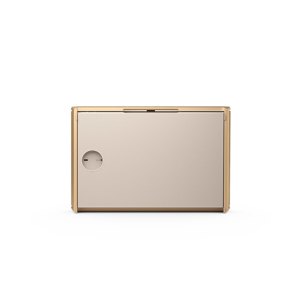 Bang and Olufsen Beosound Level Portable Smart Speaker Gold Tone/Light Oak